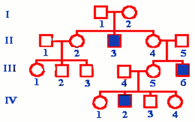 genealogie myopathie de Duchenne