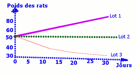 poids rats