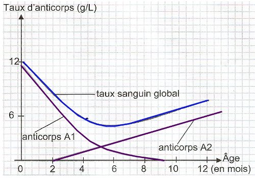 taux anticorps
