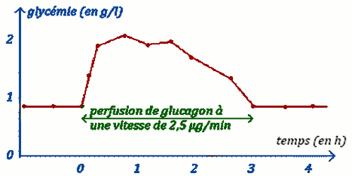 variation glicemie en presence du glucagon