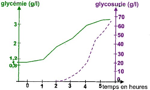 variation glicemie fonction du temps