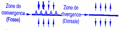 zone de convergence