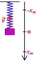 pendule elastique vertical et vitesse
