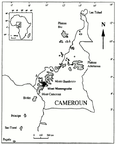 localisation mont cameroun