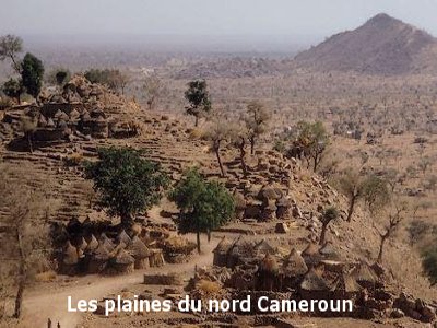 plaine du nord cameroun