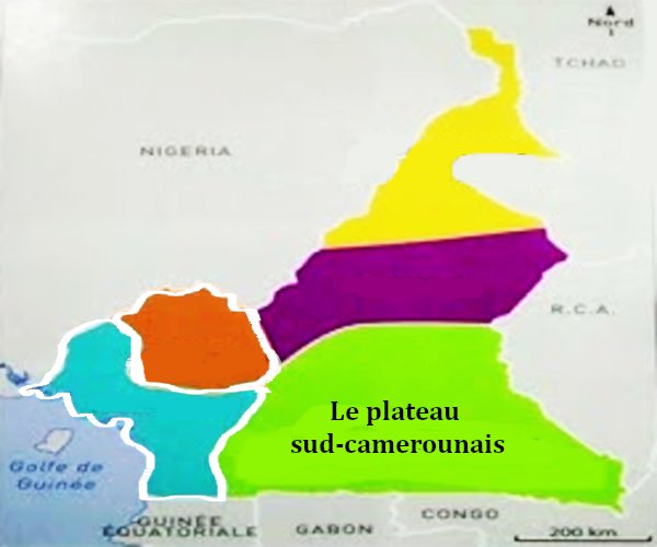 plateau sud camerounais