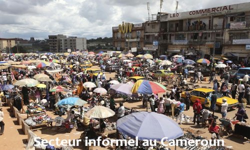 secteur informel cameroun