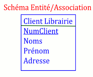 schema entite association