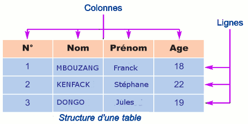 structure d une table sgbd