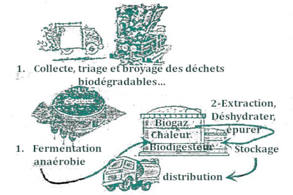 production biogaz